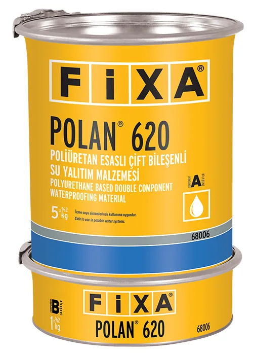 POLAN 620